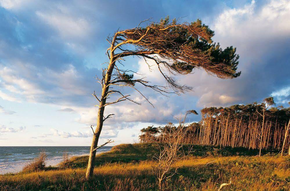 Ferienwohnungen Duenenmeer Діраген Екстер'єр фото